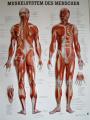 images/thumbsgallery/hilfsmittel/IMG_0583.jpg